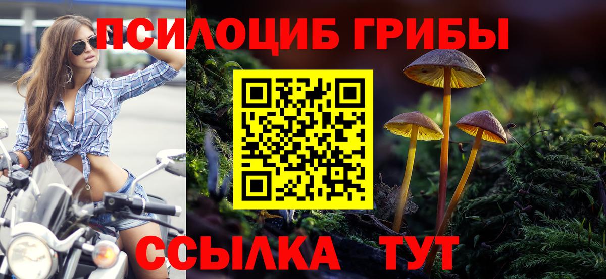 Псилоцибиновые грибы Cubensis Элиста