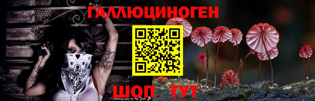 Элиста  купить наркотик  Вход с VPN  Галлюциногенные грибы мухоморы  Галлюциногенные грибы GOLDEN TEACHER 