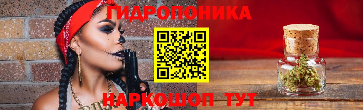 Конопля ГИДРОПОН  Вход с VPN  Каннабис план  Канабис OG Kush  Элиста 